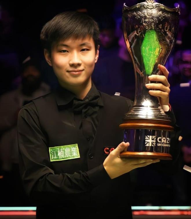 它们不仅为 它们不仅为