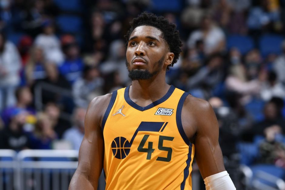 这一动向引 这一动向引