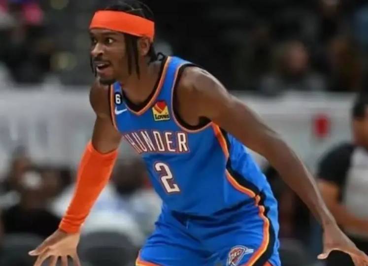 告与规则条 告与规则条